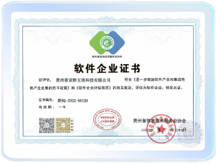 双软企业